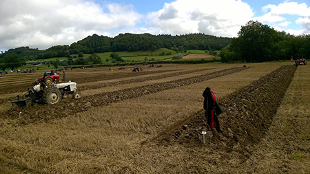 2015 Ploughing Match,&nbsp; Photograph by Edward Parry