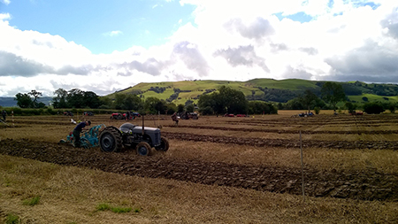 2015 Ploughing Match,&nbsp; Photograph by Edward Parry