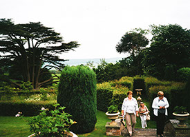 A Magnificent Cedar in the gardens, with Wenlock Edge in the backgroun