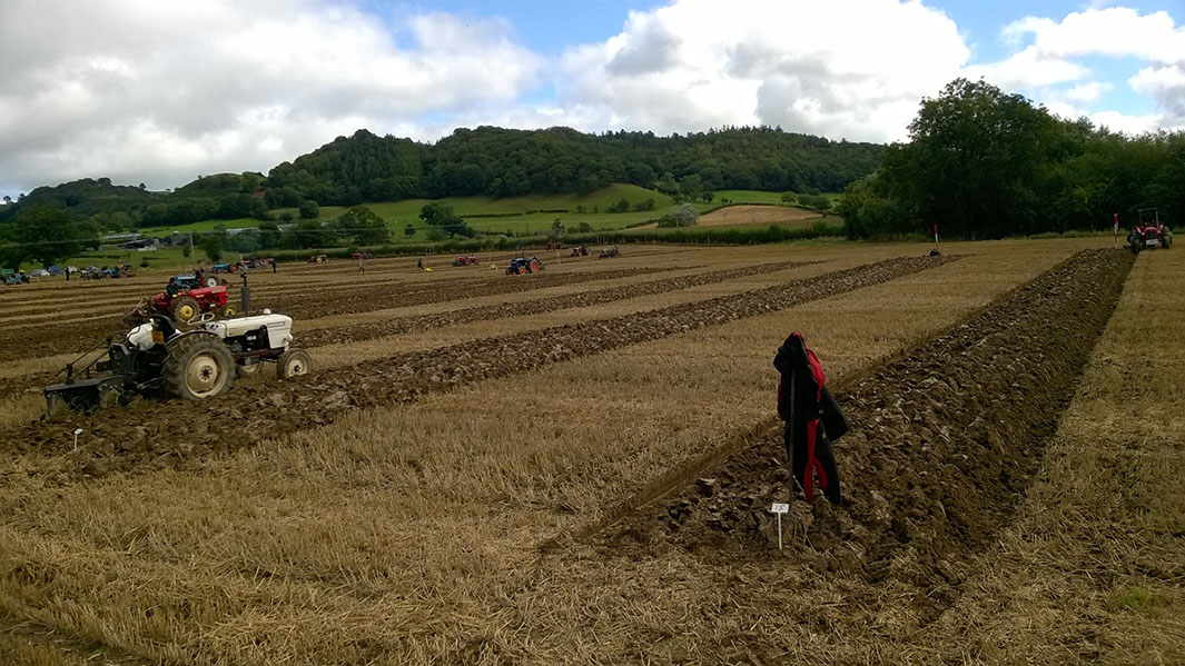 2015 Aberhafesp Ploughing Match.&nbsp; Photography by Edward Parry.
