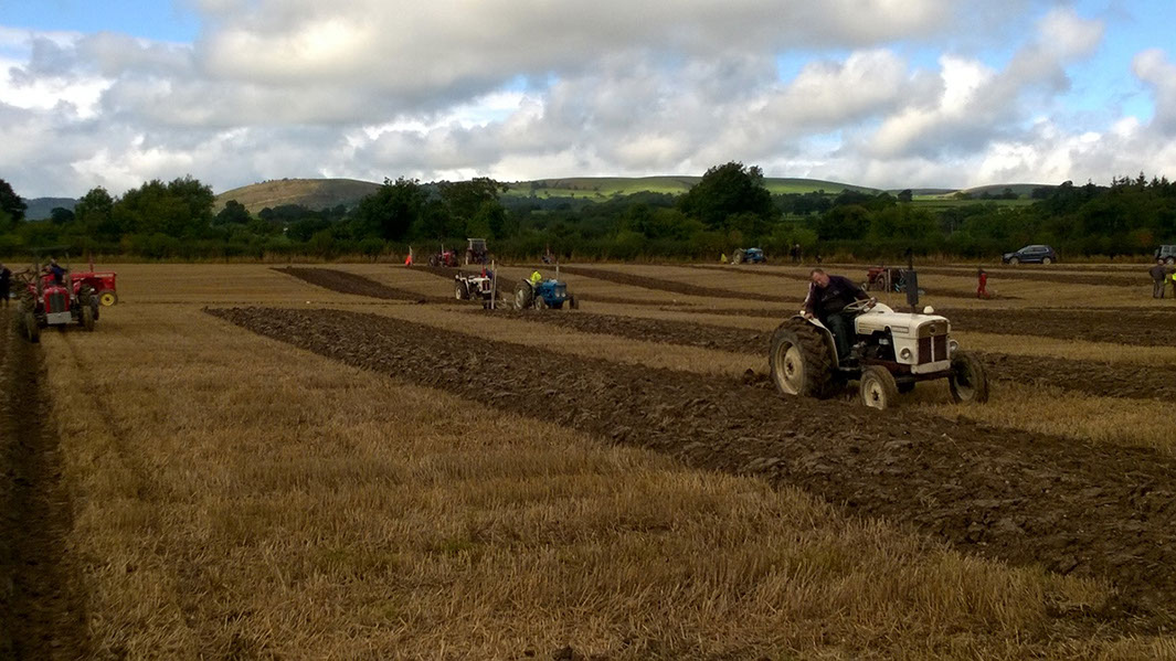 2015 Aberhafesp Ploughing Match.&nbsp; Photography by Edward Parry.