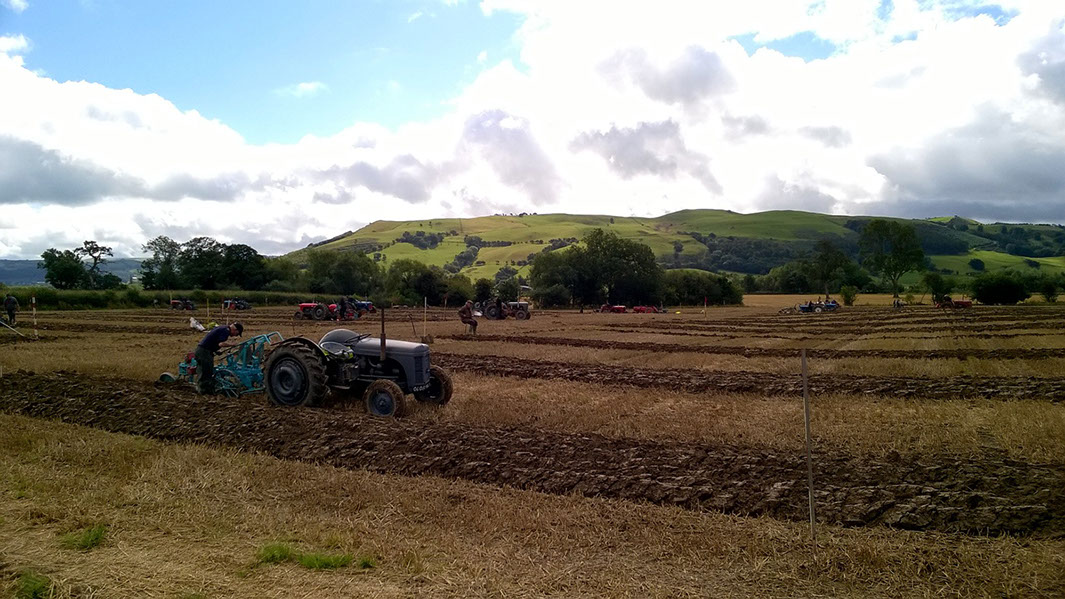 2015 Aberhafesp Ploughing Match.&nbsp; Photography by Edward Parry.